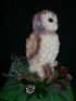 Barney the Owl